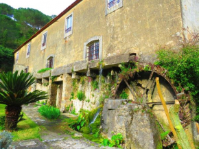Cozy House with Porto de Mós View